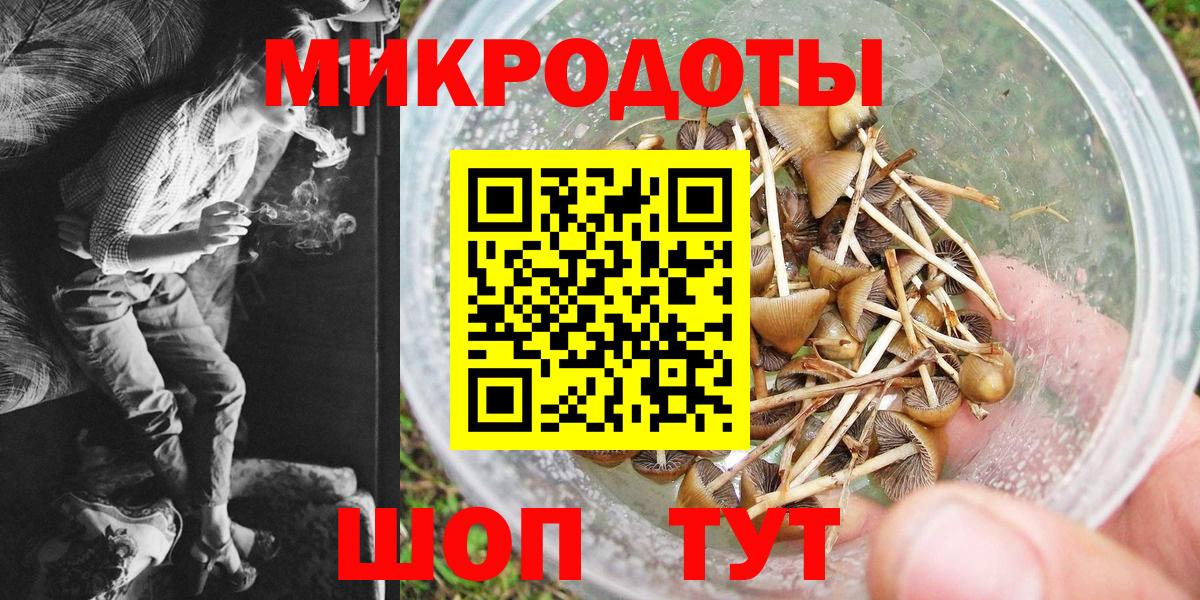 Галлюциногенные грибы Cubensis  Галлюциногенные грибы Cubensis  Вход с VPN  Выборг 