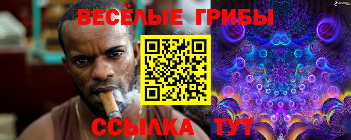 ГАШИШ  COCAIN  MDMA  Выборг  ГАШ  Метадон  Конопля  Вход с VPN  Меф  