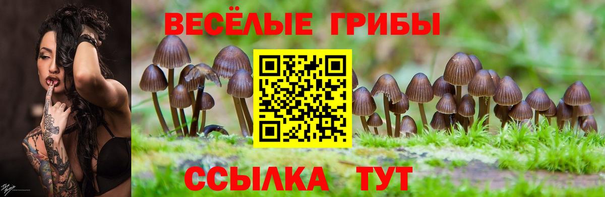 Галлюциногенные грибы MAGIC MUSHROOMS Выборг