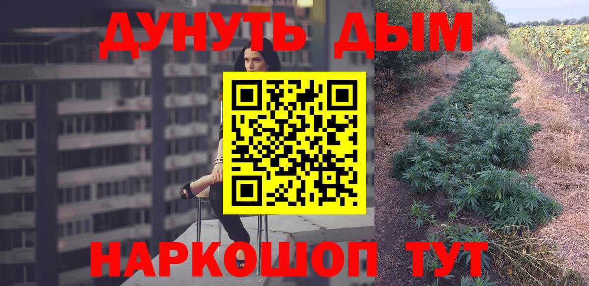 Марихуана план  Бошки Шишки планчик  Выборг  Вход с VPN  Конопля сатива 